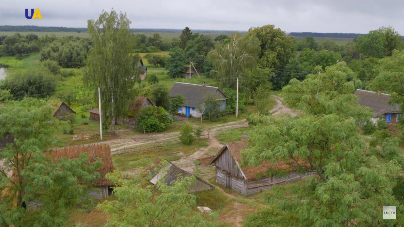 Село Сваловичи – тихий уголок нетронутой природы среди полеского леса и  болот (ВИДЕО) - Freedom