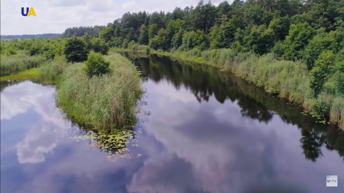 Село Сваловичи – тихий уголок нетронутой природы среди полеского леса и  болот (ВИДЕО) - Freedom