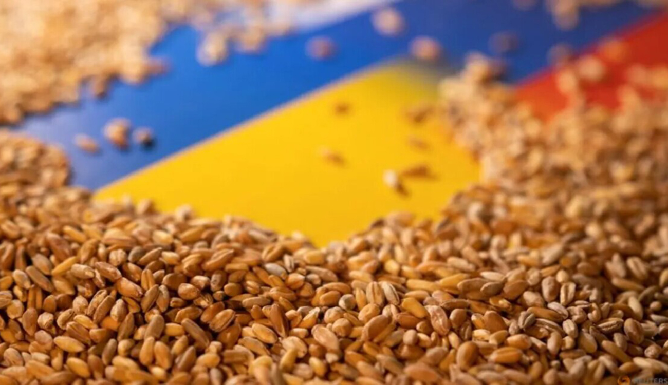 Подовження зернової угоди: які додаткові умови може висунути Москва, розповів Непран