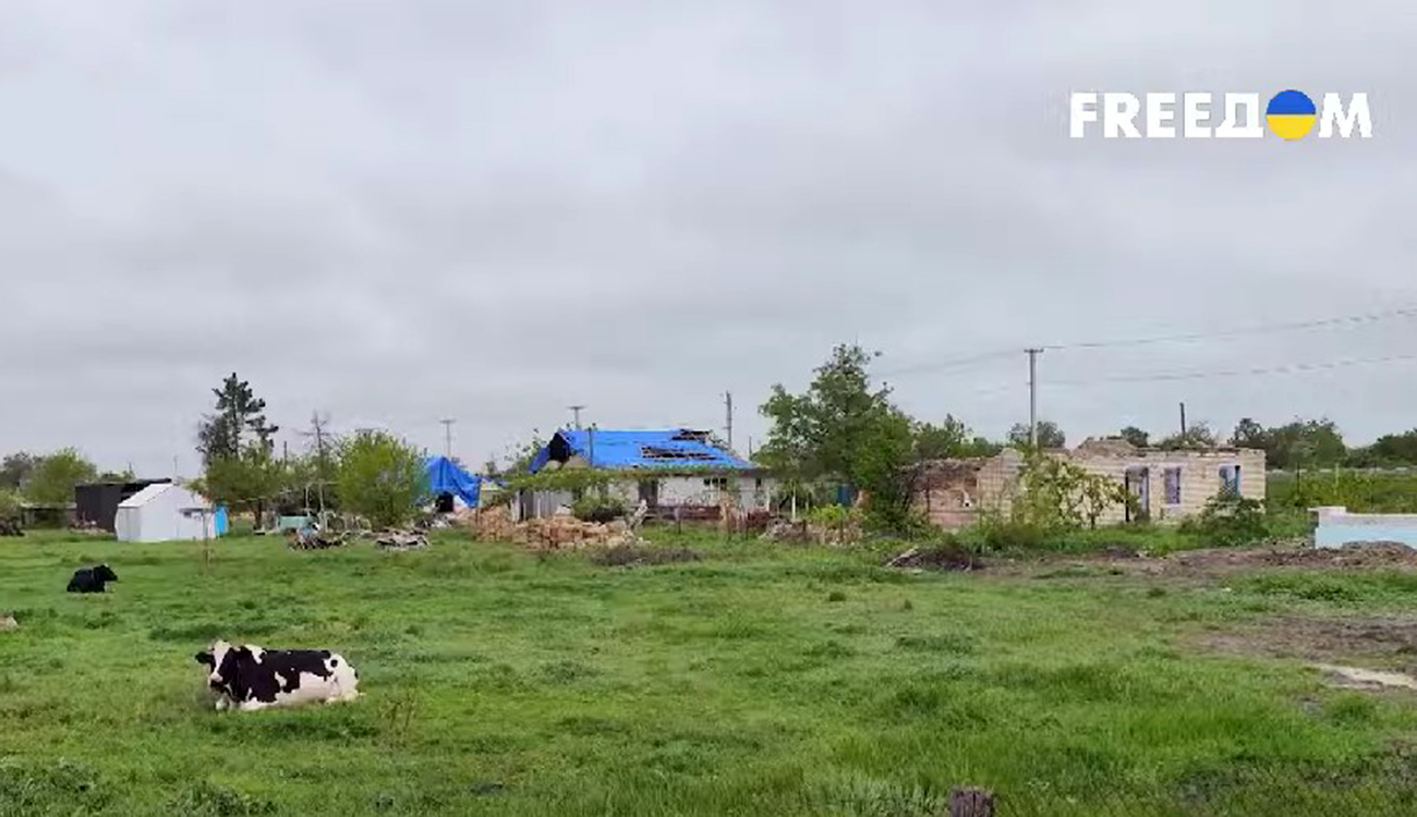 Ни одного целого дома не было: Посад-Покровское отстраивают в рамках  экспериментального проекта (ВИДЕО) - Freedom