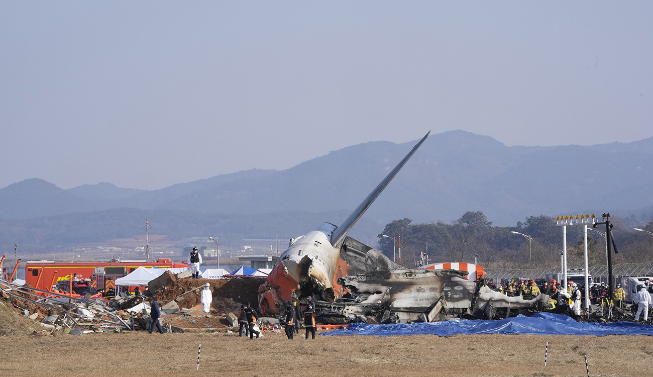 Passenger plane crashes in South Korea - details - Freedom